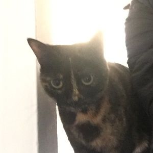 Meet your Posher, Bridgett