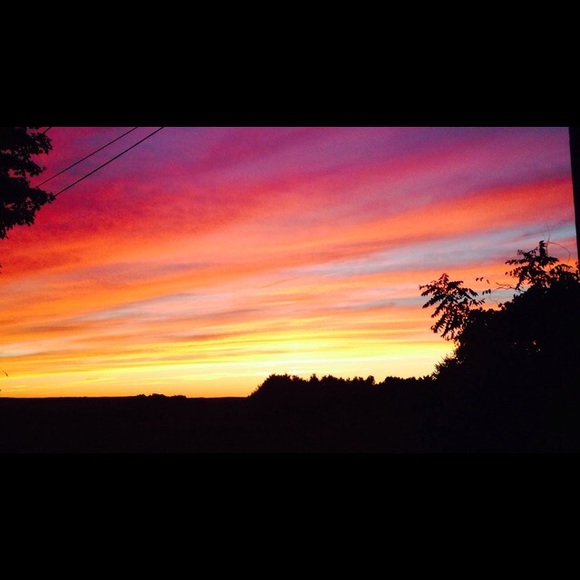 Meet your Posher, Chloe - Picture 1 of 1