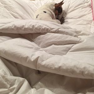 Meet your Posher, Devon