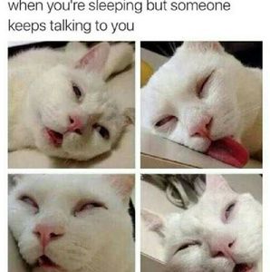 Meet your Posher, Mackenzie