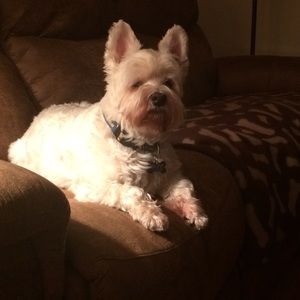 Meet your Posher, Carole