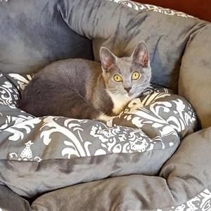 Meet your Posher, Jillian