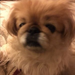 Meet your Posher, Kate