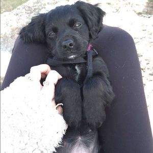 Meet your Posher, Sam