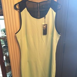 Kardashian kollection blue with black mesh dress