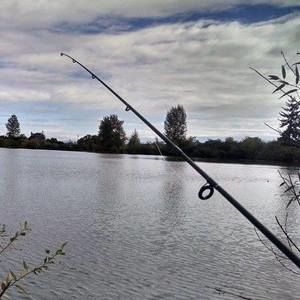 Meet your Posher, Tanner