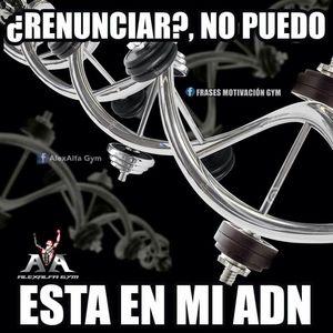 Meet your Posher, Hugo daniel