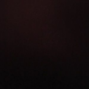 Meet your Posher, Brylee