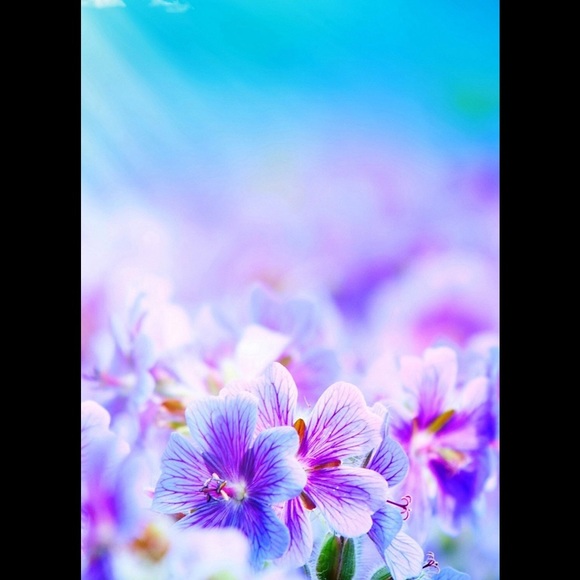 Meet your Posher, Lisa - Picture 1 of 1