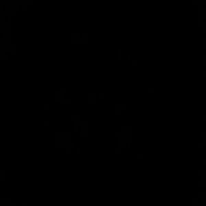 Meet your Posher, Kaila