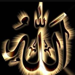 Meet your Posher, Shanzay