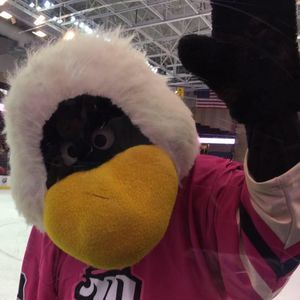 Meet your Posher, Jenny