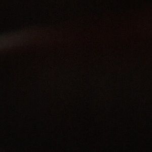 Meet your Posher, Kat