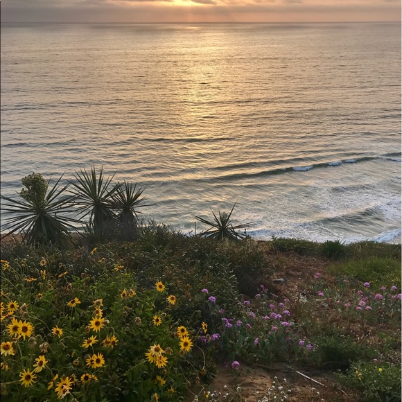 Meet your Posher, Kerrylee - Picture 1 of 1