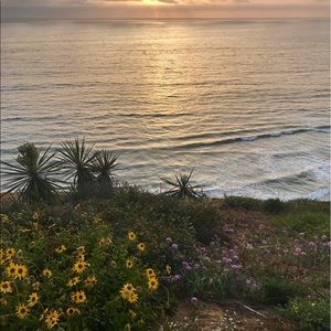 Meet your Posher, Kerrylee