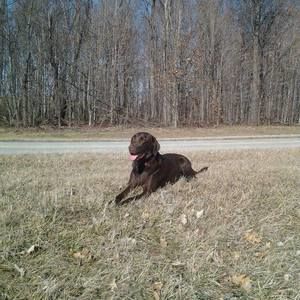 Meet your Posher, Barb