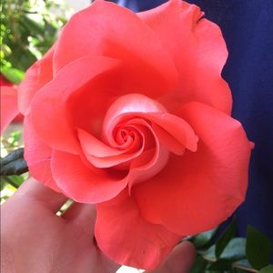 Meet your Posher, Alejandra