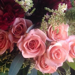 Meet your Posher, Shelby