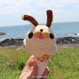 Meet your Posher, Rui