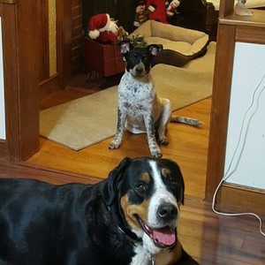 Meet your Posher, Kathleen