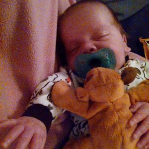 Meet your Posher, Lisa