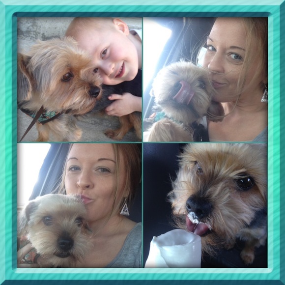 Meet your Posher, Melissa - Picture 6 of 7