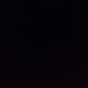 Meet your Posher, Brynn