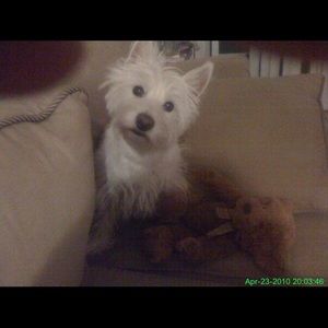 Meet your Posher, Lynn