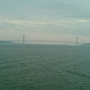 Meet your Posher, Ginger