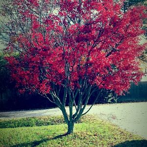 Meet your Posher, Ora