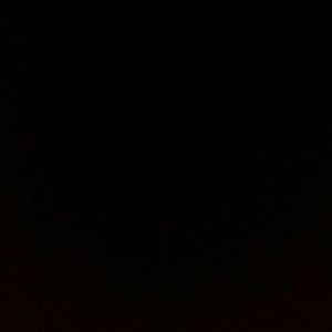 Meet your Posher, Jazmin