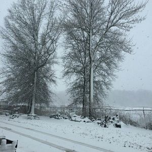 Meet your Posher, Tamara