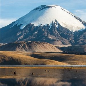 Meet your Posher, Heidi