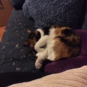 Meet your Posher, Courtney