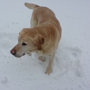 Meet your Posher, Dee