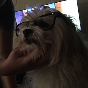 Meet your Posher, Jackie