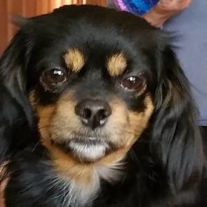 Meet your Posher, Sharon