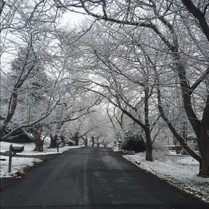 Meet your Posher, Bobie