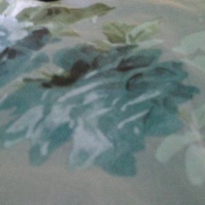 Meet your Posher, Carrie