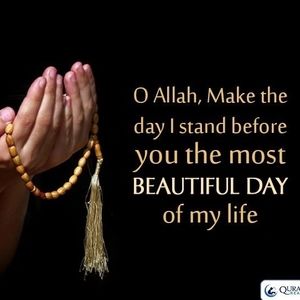 Meet your Posher, Ahsan