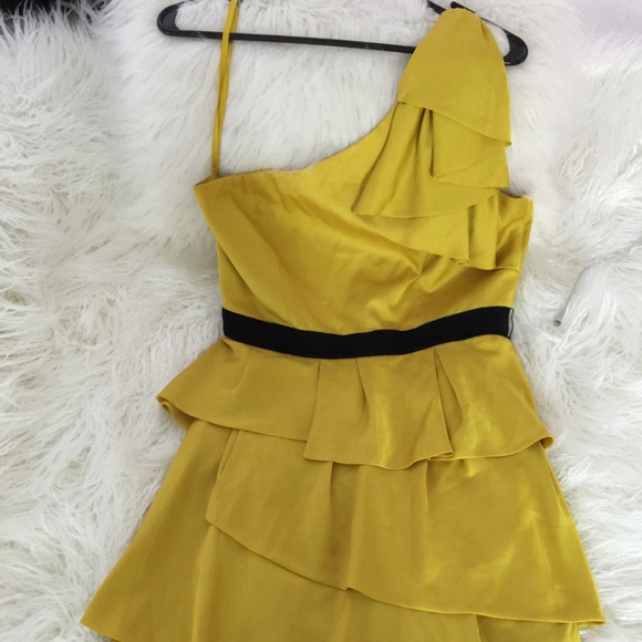 BCBG cocktail dress.