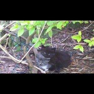 Meet your Posher, Riley