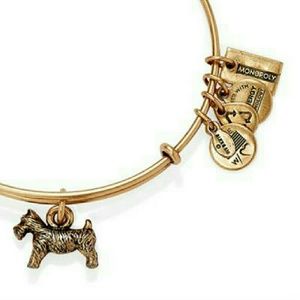 Alex and ani dog monopoly bracelet bangle