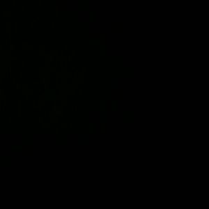 Meet your Posher, Karla