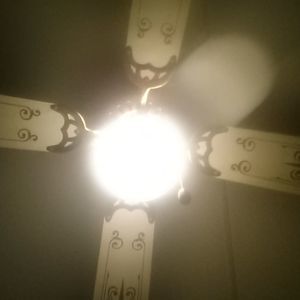 Meet your Posher, Tamika