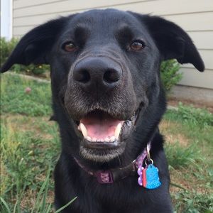 Meet your Posher, Aubrey