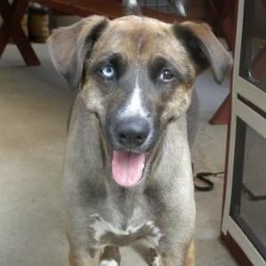 Meet your Posher, Georgiann