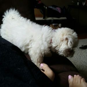 Meet your Posher, Gia