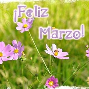 Meet your Posher, Leticia