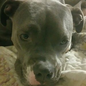 Meet your Posher, Tanya